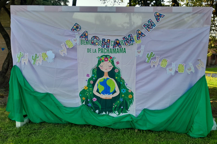 Imagenes