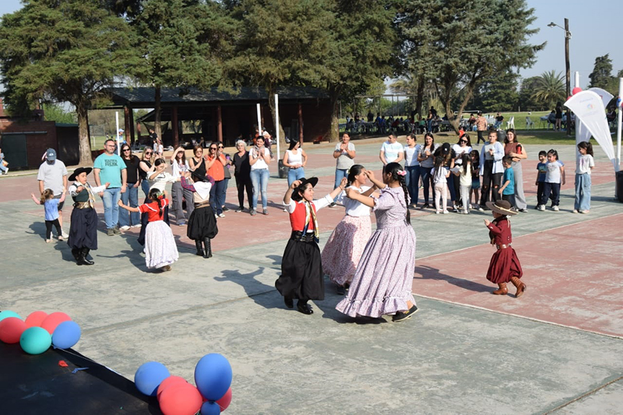 Institucional