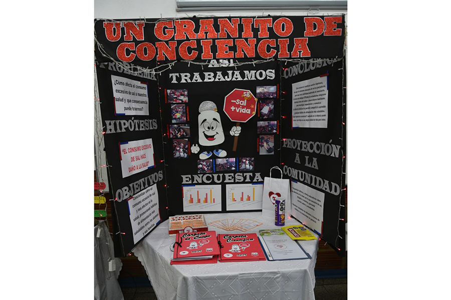 Institucional