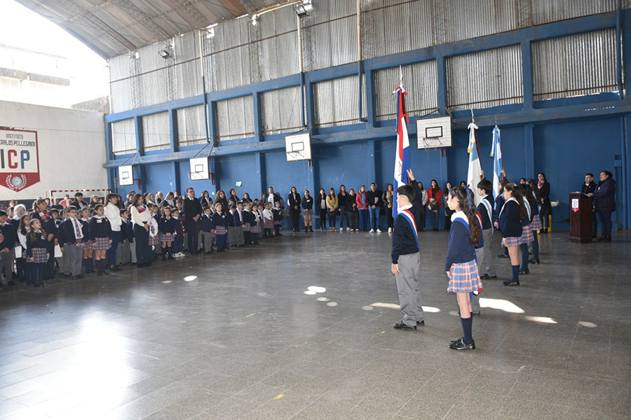 Institucional