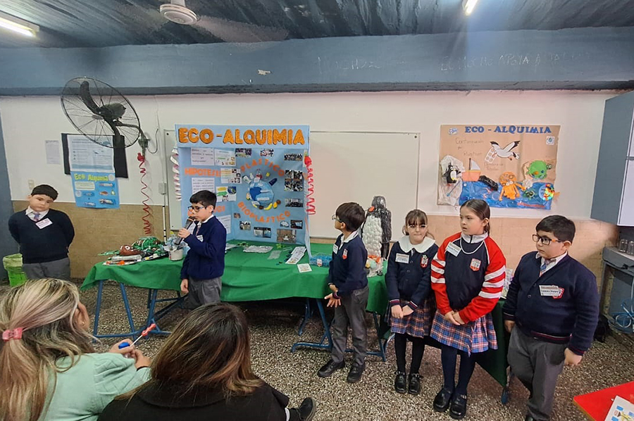 Institucional
