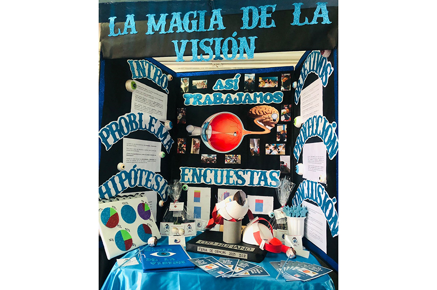 Institucional