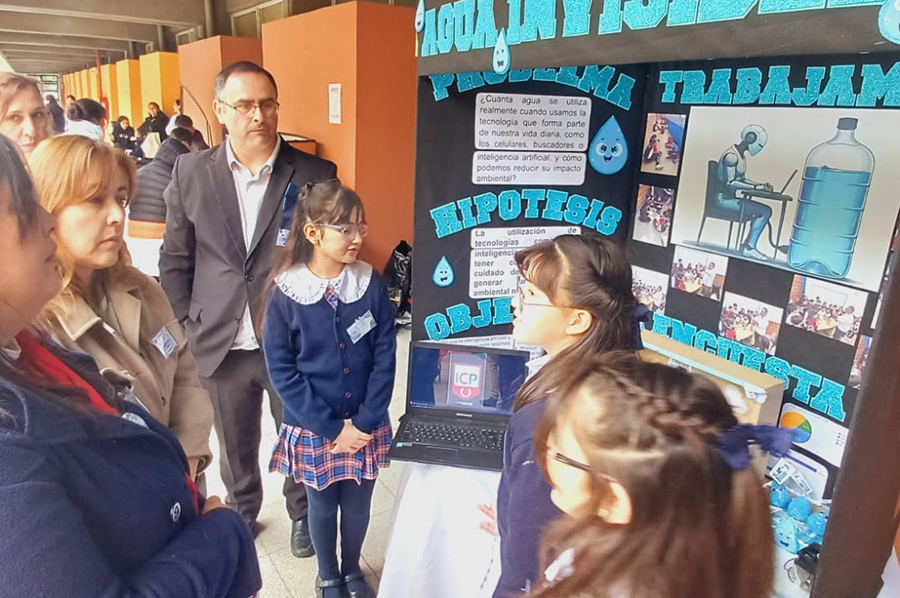 Institucional