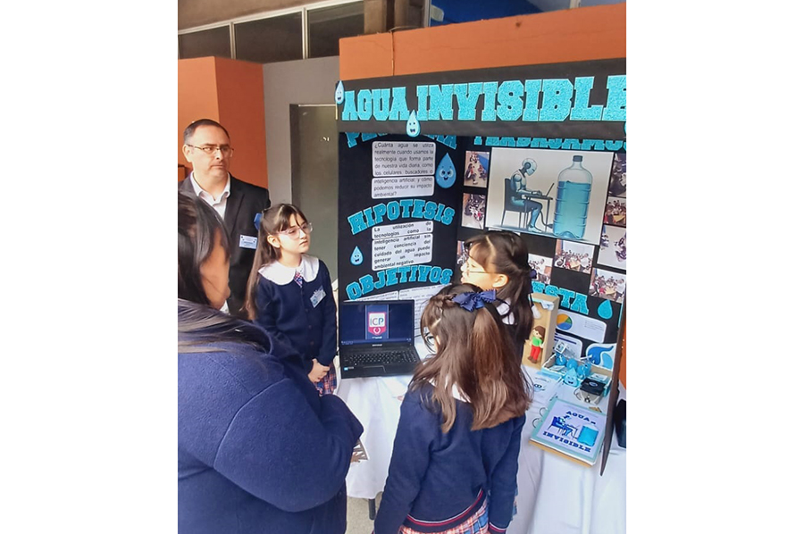 Institucional