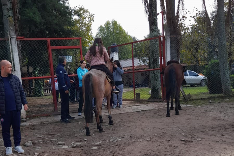 Nivel Secundario