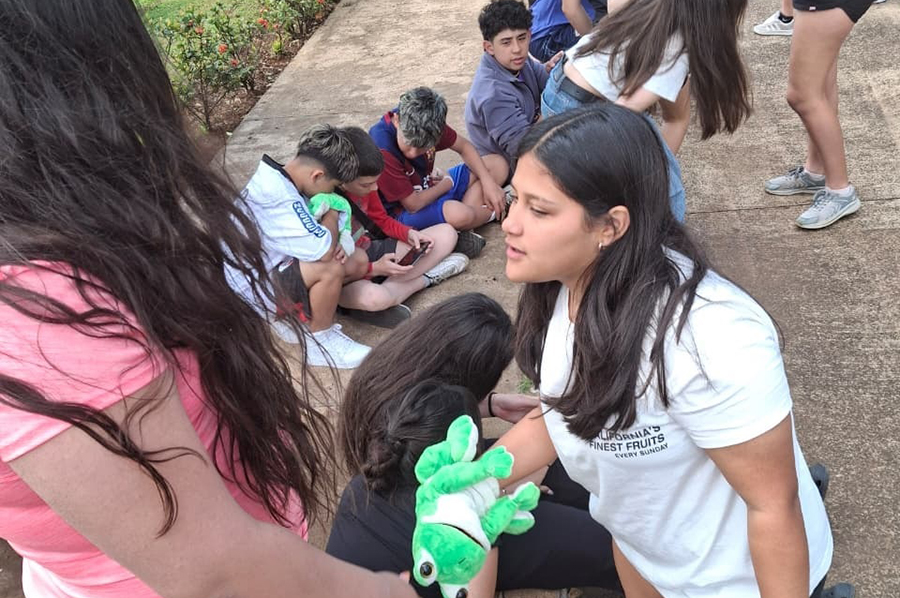 Nivel Secundario