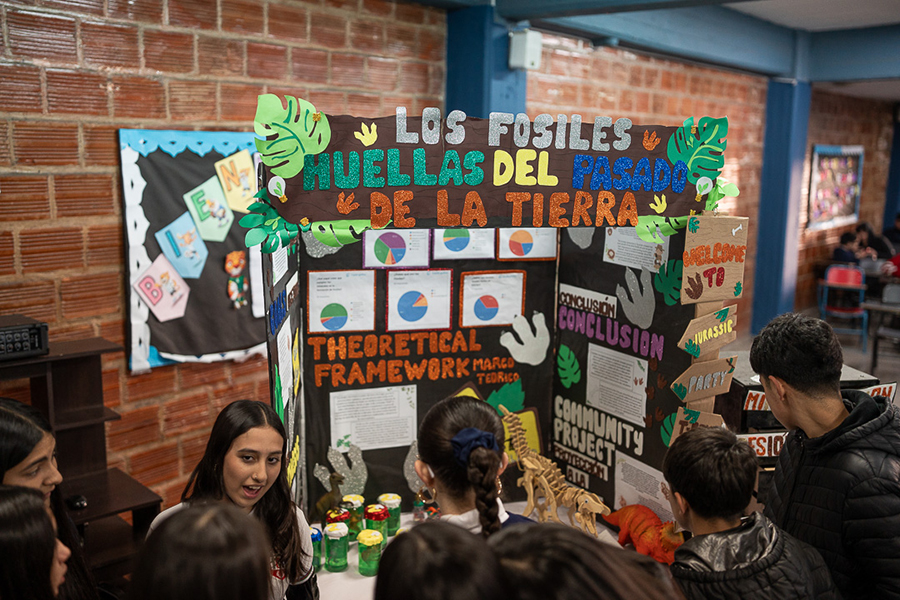 Institucional