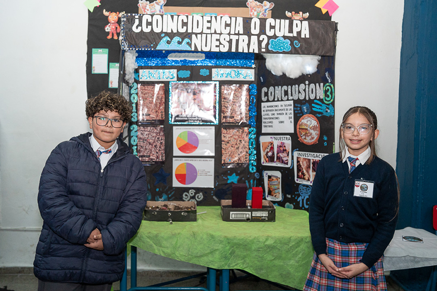 Institucional
