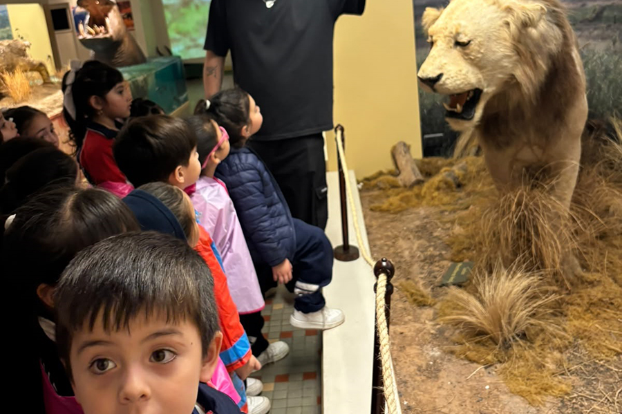 Proyecto GUARDIANES DE LA NATURALEZA Nivel Inicial