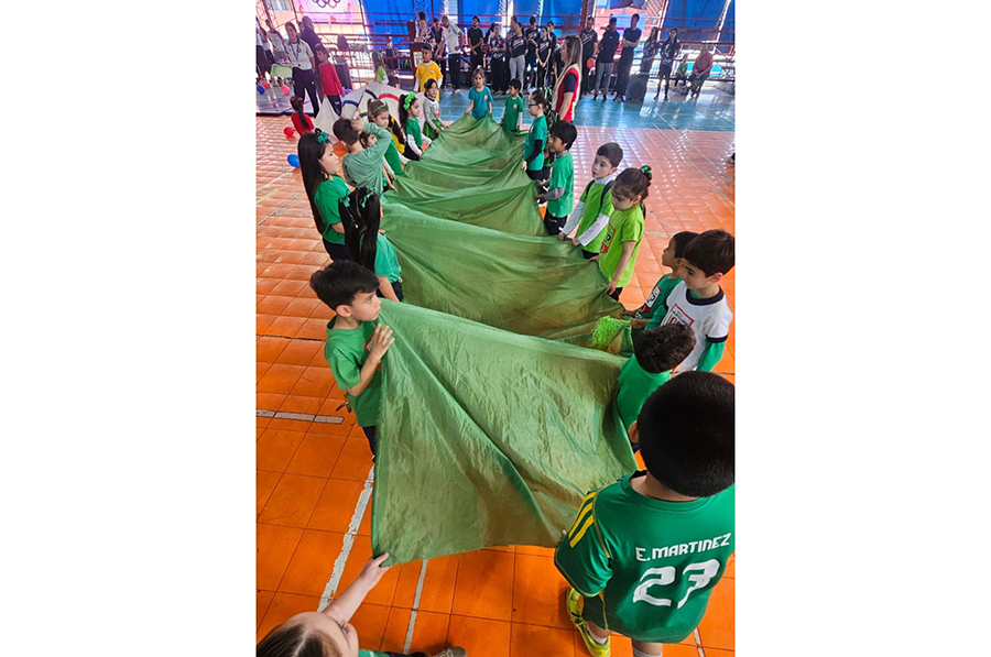 Nivel Inicial y Primer grado