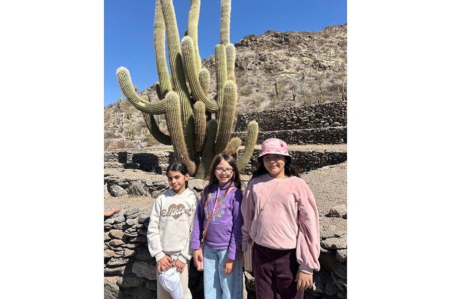 Valles Calchaquíes Nivel Primario