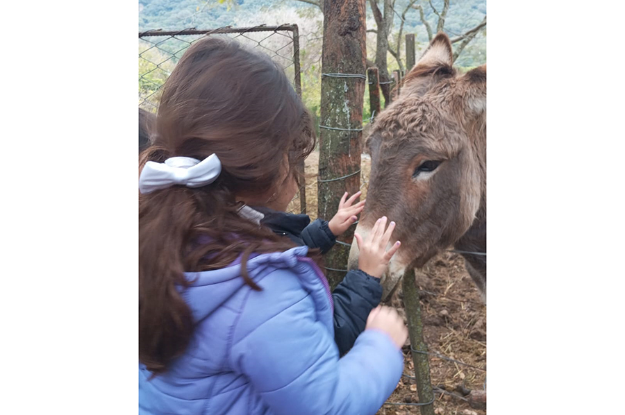 Visita de segundo grado a la Reserva Fitozoológica Nivel Primario