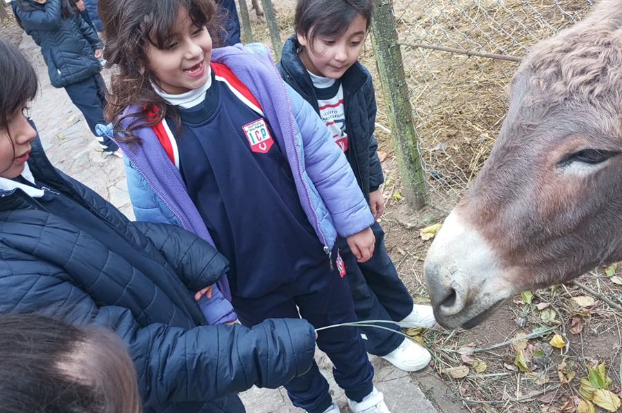 Visita de segundo grado a la Reserva Fitozoológica Nivel Primario